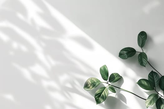 Natural, minimalistic background with plants and beautiful light. Empty, copy space for text. Nordic style backdrop. Generative AI