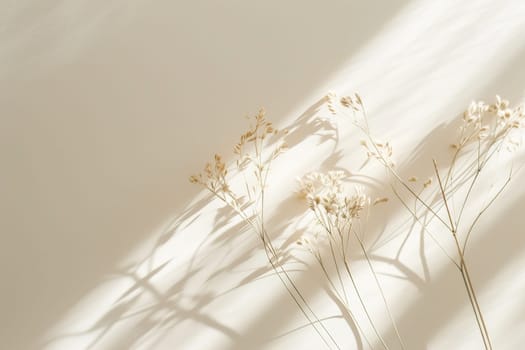 Natural, minimalistic background with plants and beautiful light. Empty, copy space for text. Nordic style backdrop. Soft, beige color. Generative AI