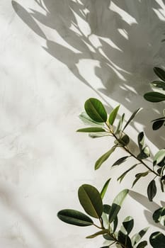 Natural, minimalistic background with plants and beautiful light. Empty, copy space for text. Nordic style backdrop. Vertical format. Generative AI