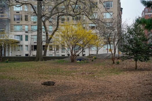 A homeless tramp sleeping in central park new york city under the rain