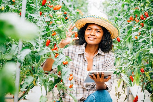 Smart farming in action, Asian Black woman farmer uses a digital tablet in the greenhouse. Owners work, growing tomatoes, inspecting vegetables for quality with innovation.