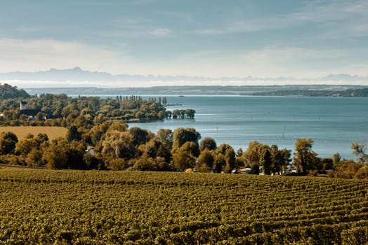 Bodensee Panorama: Alps on the Horizon, Vineyards, and Pastoral Beauty. Alpine Horizon: Bodensee, Vineyards, and Quaint Villages in the German Countryside. Vineyard Vistas: Bodensee, Alpine Peaks, and the Rural Charm of German Agriculture. Rural Tranquility: Bodensee Overlooking Pastures, Vineyards, and Traditional Villages,