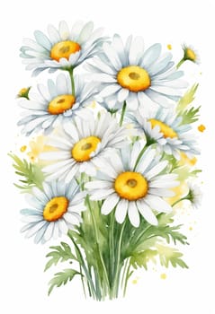 Beautiful image with watercolor daisies on white background.