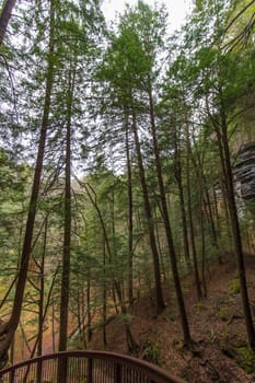 Views at Old Man's Cave, Hocking Hills State Park, Ohio