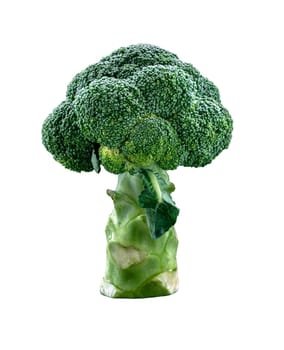 Fresh Green Color Broccoli isolated on white background with clipping path. Healthy eating concept. Selective focus.