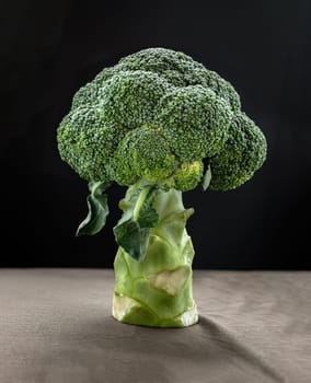 Fresh Green Color Broccoli on black background. Healthy eating concept, Copy space, Selective focus.