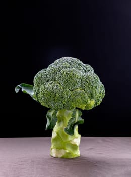 Fresh Green Color Broccoli on dark background. Healthy eating concept, Space for text, Selective focus.