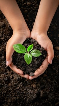 Top view of child hands holding a small plant in his hands. Concept of environment protection and sustainability.