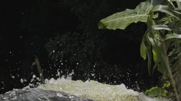 Slow-mo video of water falling into the dark, with a plant observing.