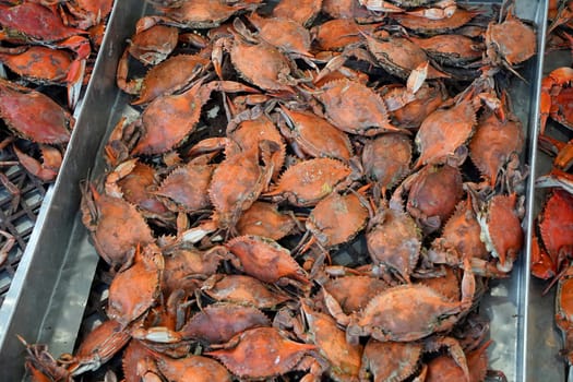 Fresh live crab at a seafood market in Washington, DC detail of