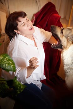 Adult mature woman with big shepherd dog in white shirt. Room with girl and calm cozy evening atmosphere with transparent curtains and soft warm light of lamps. Concept of love for animals, pets