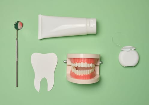 Model of a human jaw with white teeth, dental floss and toothpaste on a green background, top view. Oral hygiene