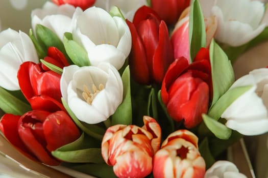 Spring Gift: Bright Tulip Bouquet for a Special March 8th Celebration