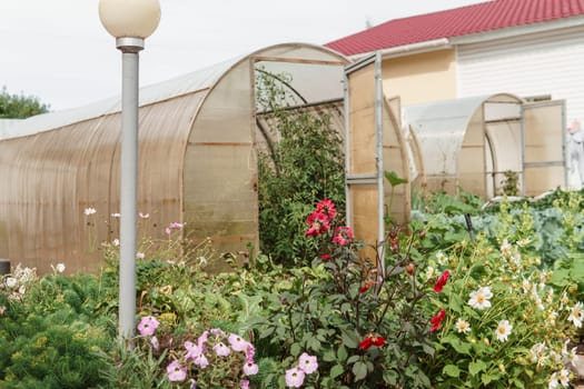 Large greenhouses for growing homemade vegetables. The concept of gardening and life in the country