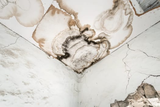 Mould growing in the corner of a room in an old house