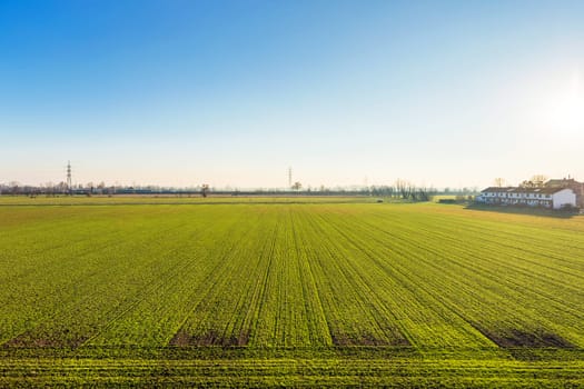 Background image of lush grass field under blue sky