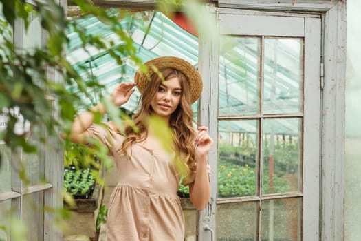 A beautiful young woman takes care of plants in a greenhouse. The concept of gardening and an eco-friendly lifestyle.