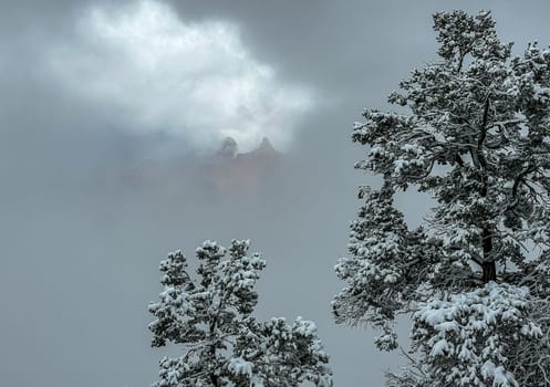 Fresh snow has fallen at the South Rim of The Grand Canyon at Grand Canyon National Park, Arizona
