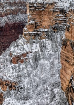 Fresh snow has fallen at the South Rim of The Grand Canyon at Grand Canyon National Park, Arizona
