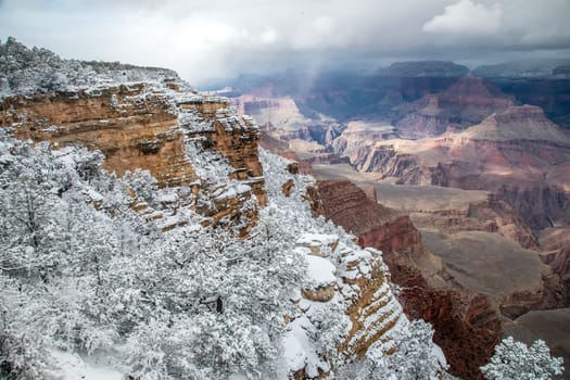 Fresh snow has fallen at the South Rim of The Grand Canyon at Grand Canyon National Park, Arizona