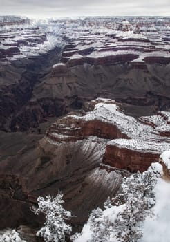 Fresh snow has fallen at the North Rim of The Grand Canyon at Grand Canyon National Park, Arizona