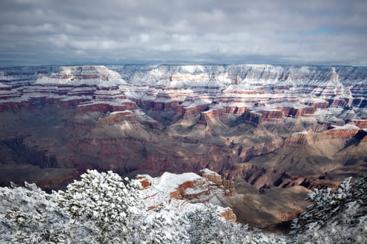 Fresh snow has fallen at the North Rim of The Grand Canyon at Grand Canyon National Park, Arizona