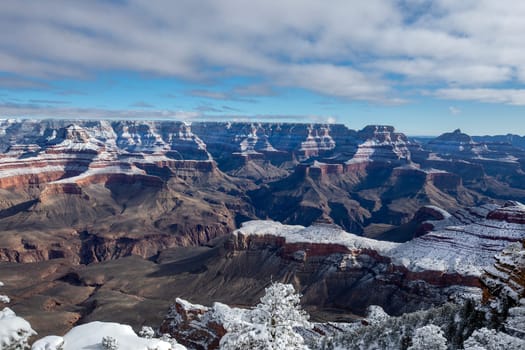 Fresh snow has fallen at the North Rim of The Grand Canyon at Grand Canyon National Park, Arizona