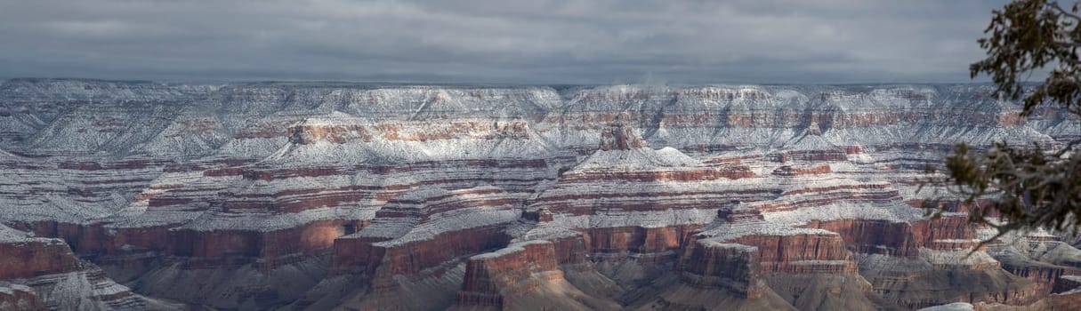 Fresh snow has fallen at the North Rim of The Grand Canyon at Grand Canyon National Park, Arizona