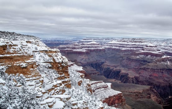 Fresh snow has fallen at the North Rim of The Grand Canyon at Grand Canyon National Park, Arizona