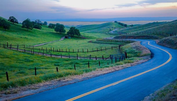 A rural California road winds its way through farmland and pastures near Bakersfield