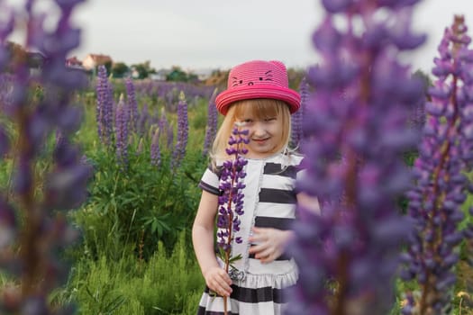 A blonde girl in a field with purple flowers. A little girl in a pink hat is picking flowers in a field. A field with lupines.