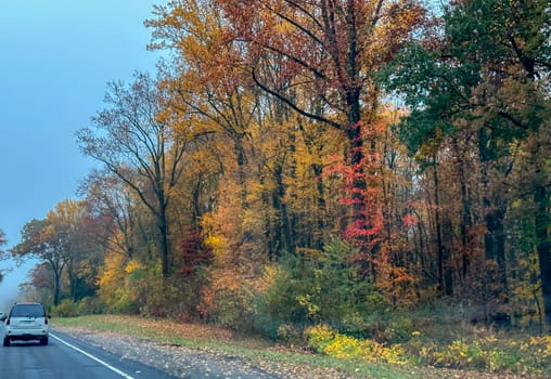 Fall colors have arrived along the Merrit Parkway near Fairfield, Connecticut