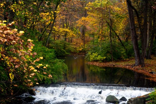 Fall colors have arrived along a river near Weston, Connecticut