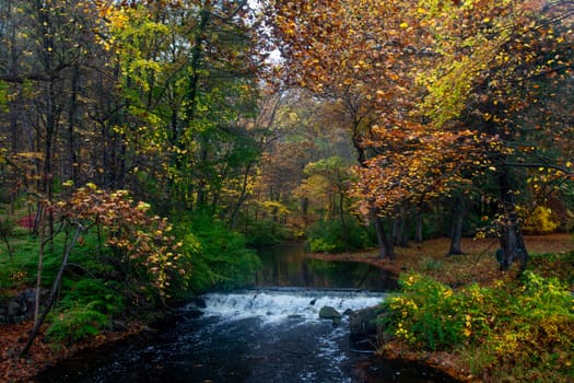 Fall colors have arrived along a river near Weston, Connecticut