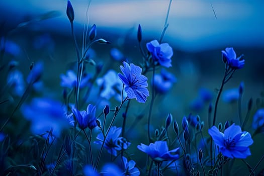 A close up of blue flowers with a blue background. The flowers are in full bloom and the blue color is vibrant and eye-catching