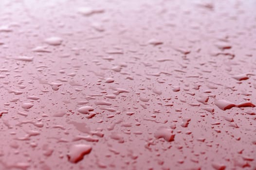 rain drops on red car hood 1