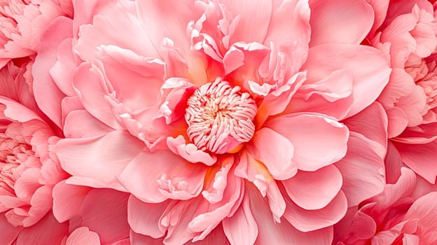 A close up of pink flower petals. Concept of beauty and delicacy, as the petals are small and scattered throughout the frame. The pink color of the petals adds a touch of romance