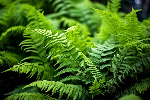 A lush, tropical jungle with a bright sun shining through the trees. The sunlight creates a warm, inviting atmosphere and highlights the vibrant green foliage. The scene is full of life and energy