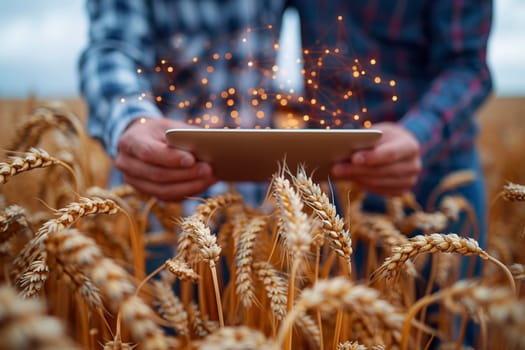 a man is holding a tablet in a field of wheat . High quality