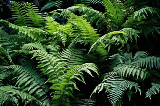 A lush, tropical jungle with a bright sun shining through the trees. The sunlight creates a warm, inviting atmosphere and highlights the vibrant green foliage. The scene is full of life and energy