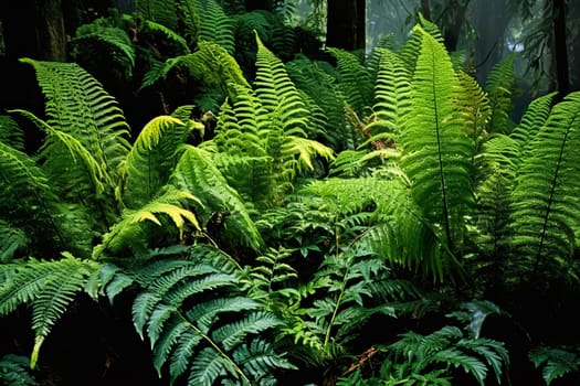 A lush, tropical jungle with a bright sun shining through the trees. The sunlight creates a warm, inviting atmosphere and highlights the vibrant green foliage. The scene is full of life and energy