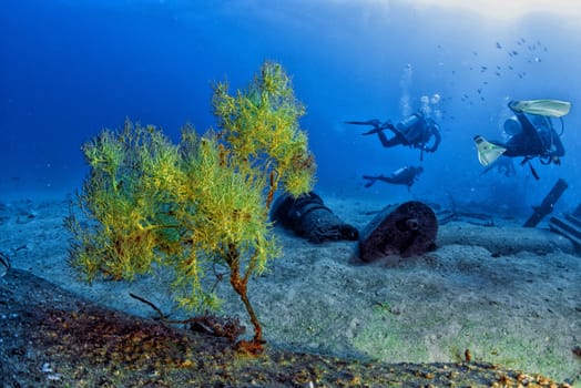 corals growing on Ship Wreck underwater while diving indonesia