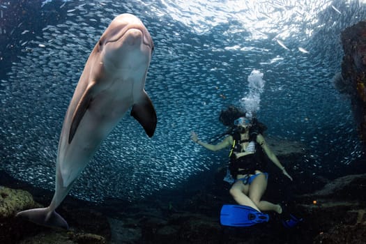 Black hair young and pretty mexican latina Scuba diver while going Inside a giant sardines school of fish bait ball in the reef and blue sea