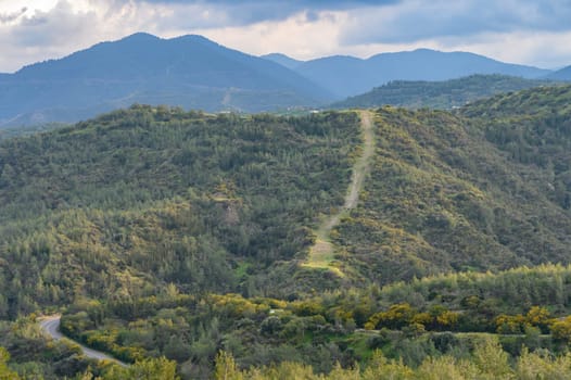 Troodos mountains Cyprus, aerial drone photo, picturesque place for hiking and cycling. natural beauty, 5