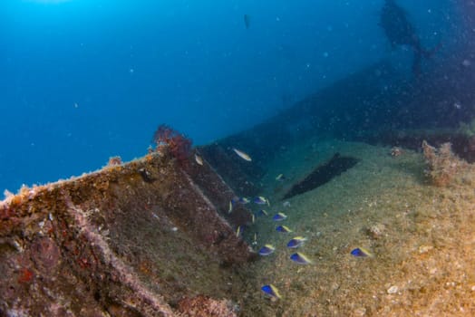 scuba divers exploring a shipwreck underwater