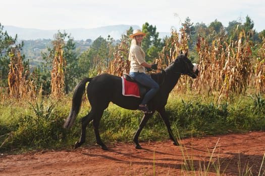 Young woman in shirt and straw hat, riding brown horse in the park, smiling, blurred background with houses and trees