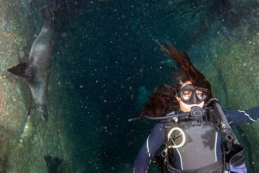 beautiful latina girl diving with sea lions in cortez sea underwater