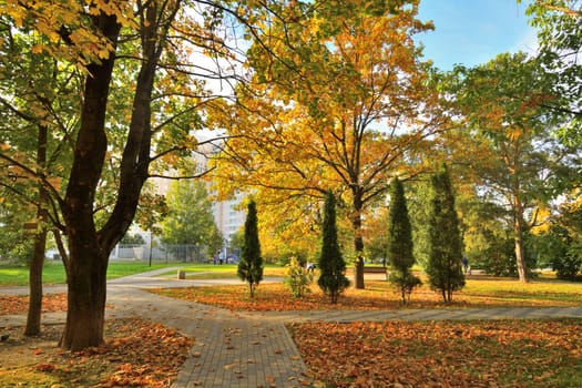 Autumn city park with a paths in Moscow, Russia