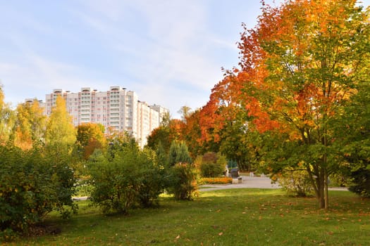 Autumn city park with a paths in Moscow, Russia