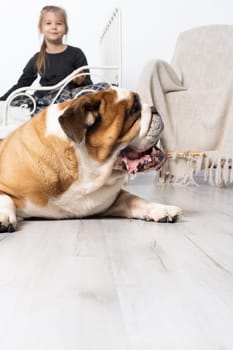 A girl is sitting on the bed and an english bulldog on the floor. There is also a dog in the child's room.